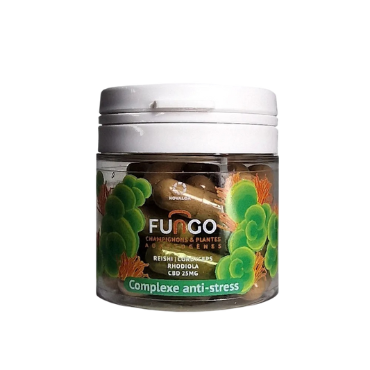 CBD capsule &amp; anti-stress mushrooms FUNGO, NOVALOA